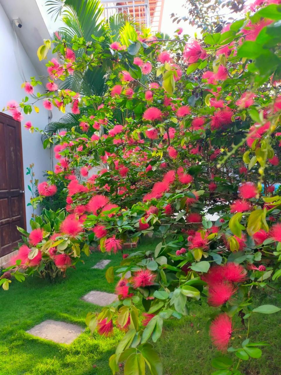 Serenity Garden Дуонг-Донг Экстерьер фото
